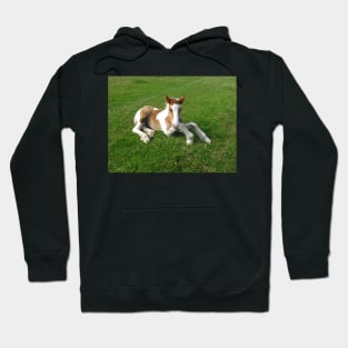 Knees Up Hoodie